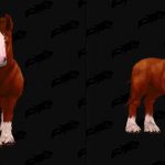 datamining-world-of-warcraft-horse-mount-frente-vermelho