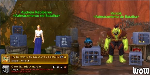 petbattles_treinador2